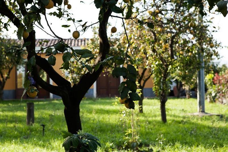 Villa La Terra Del Mezzo à Riposto Chambre photo